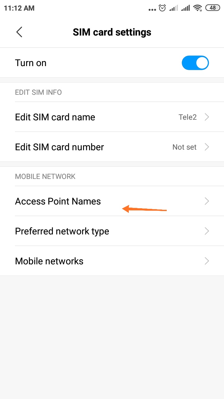 Sim Card Settings - select: Access Points Names 